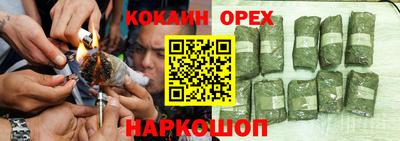 твердый Кингисепп