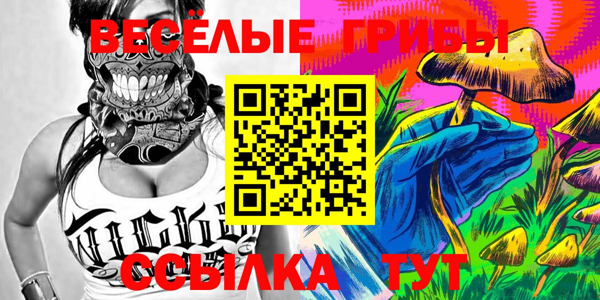 Псилоцибиновые грибы Psilocybine cubensis Кизилюрт